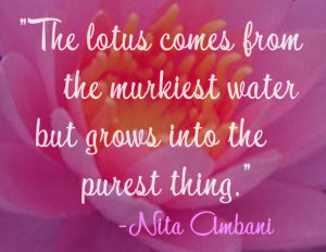 Quote - Lotus Murkiest Water Purest - Nita Ambani